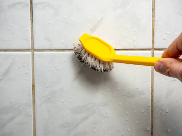 Best Emergency Mold Remediation in Garden Grove, FL