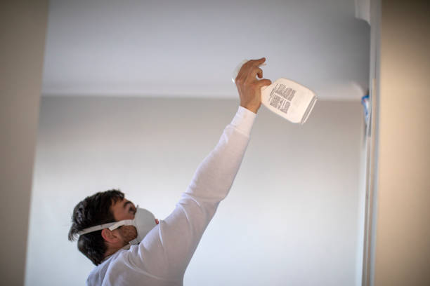 Best Mold Remediation for Schools in Garden Grove, FL