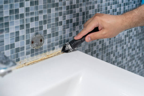 Best DIY Mold Remediation Support Services in Garden Grove, FL